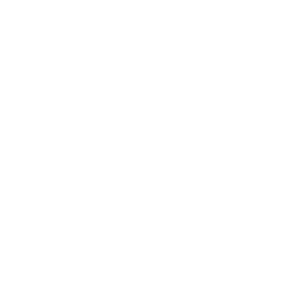 9001_ENAC_Castellano-00