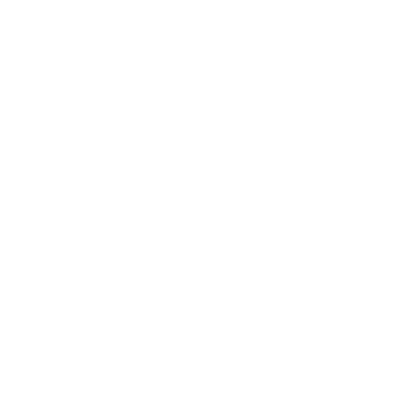 elecnor